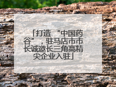 打造 “中国药谷”，驻马店市市长诚邀长三角高精尖企业入驻