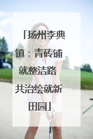 扬州李典镇：青砖铺就整洁路 共治绘就新田园