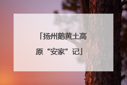 扬州鹅黄土高原“安家”记