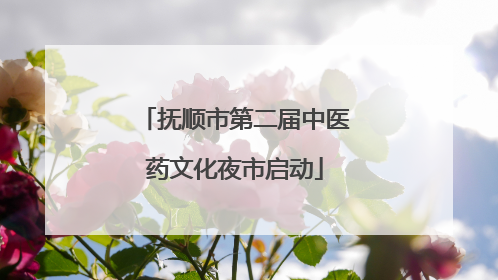 抚顺市第二届中医药文化夜市启动