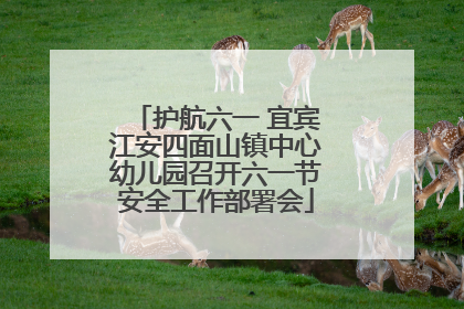 护航六一 宜宾江安四面山镇中心幼儿园召开六一节安全工作部署会