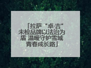 拉萨“卓·吉”未检品牌以法治为盾 温暖守护雪域青春成长路