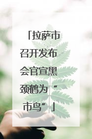 拉萨市召开发布会官宣黑颈鹤为“市鸟”