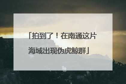 拍到了！在南通这片海域出现伪虎鲸群