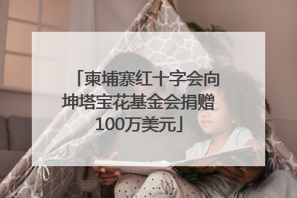 柬埔寨红十字会向坤塔宝花基金会捐赠100万美元
