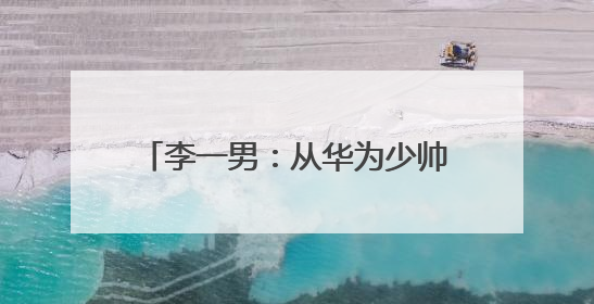 李一男：从华为少帅到锂电出行革新者