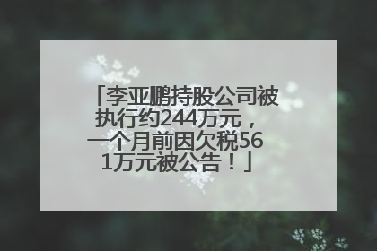 李亚鹏持股公司被执行约244万元，一个月前因欠税561万元被公告！