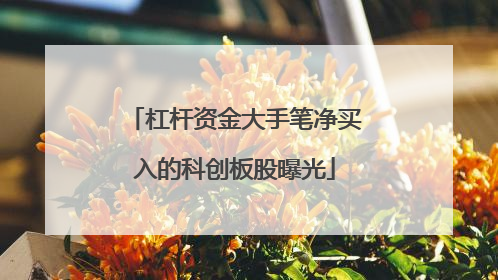 杠杆资金大手笔净买入的科创板股曝光