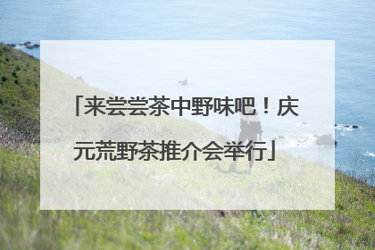 来尝尝茶中野味吧！庆元荒野茶推介会举行