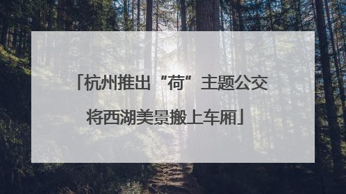 杭州推出“荷”主题公交 将西湖美景搬上车厢