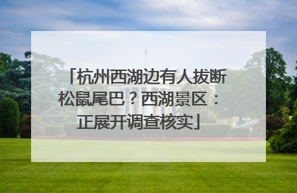 杭州西湖边有人拔断松鼠尾巴？西湖景区：正展开调查核实
