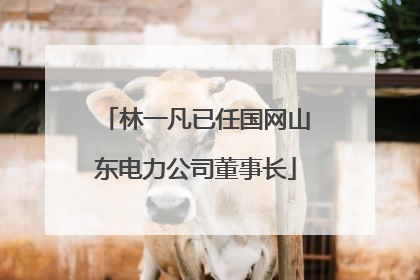 林一凡已任国网山东电力公司董事长