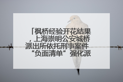 枫桥经验开花结果，上海崇明公安城桥派出所依托刑事案件“负面清单”强化派出所“主防”