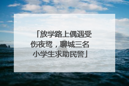 放学路上偶遇受伤夜鹭，聊城三名小学生求助民警