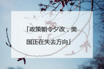 政策朝令夕改，美国正在失去方向