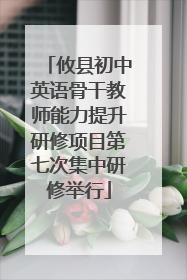 攸县初中英语骨干教师能力提升研修项目第七次集中研修举行