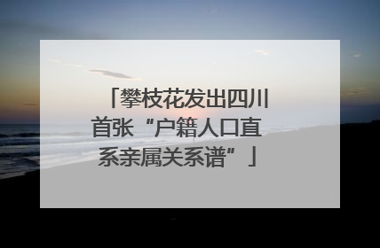 攀枝花发出四川首张“户籍人口直系亲属关系谱”
