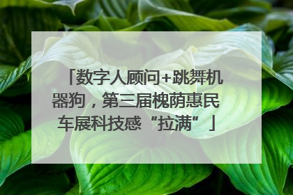 数字人顾问+跳舞机器狗，第三届槐荫惠民车展科技感“拉满”
