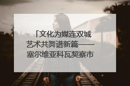 文化为媒连双城 艺术共舞谱新篇——塞尔维亚科瓦契察市代表团访问日照