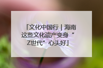 文化中国行｜海南这些文化遗产变身“Z世代”心头好