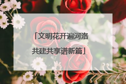文明花开遍河洛 共建共享谱新篇