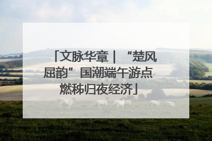 文脉华章｜“楚风屈韵”国潮端午游点燃秭归夜经济
