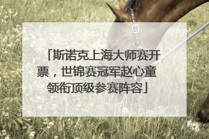 斯诺克上海大师赛开票，世锦赛冠军赵心童领衔顶级参赛阵容