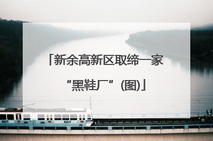 新余高新区取缔一家“黑鞋厂”(图)