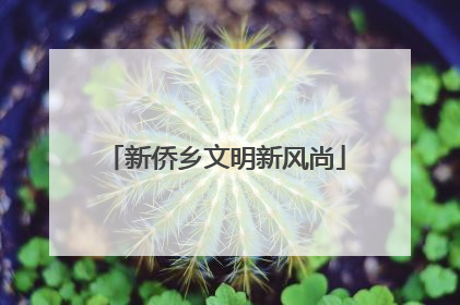 新侨乡文明新风尚