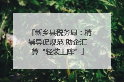 新乡县税务局：精辅导促规范 助企汇算“轻装上阵”