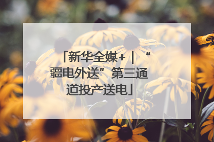 新华全媒+｜“疆电外送”第三通道投产送电