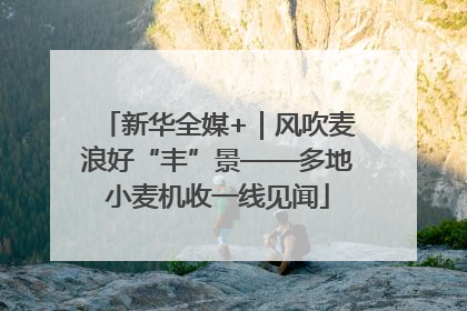 新华全媒+｜风吹麦浪好“丰”景——多地小麦机收一线见闻