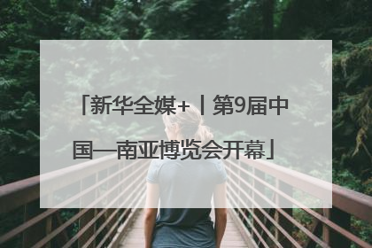 新华全媒+丨第9届中国—南亚博览会开幕