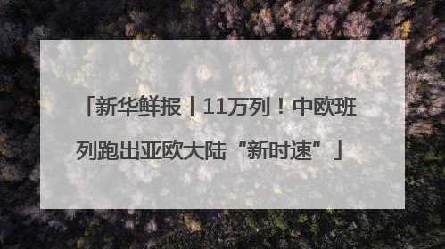 新华鲜报丨11万列！中欧班列跑出亚欧大陆“新时速”