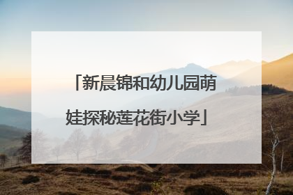 新晨锦和幼儿园萌娃探秘莲花街小学