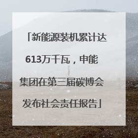 新能源装机累计达613万千瓦，申能集团在第三届碳博会发布社会责任报告