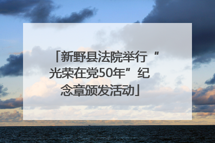 新野县法院举行“光荣在党50年”纪念章颁发活动