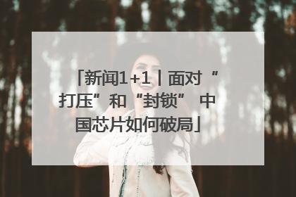 新闻1+1丨面对“打压”和“封锁” 中国芯片如何破局