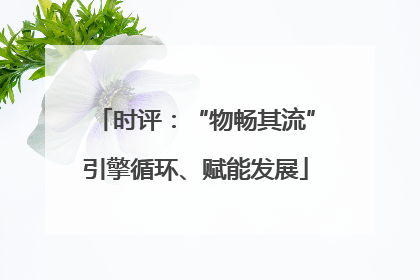 时评：“物畅其流”引擎循环、赋能发展