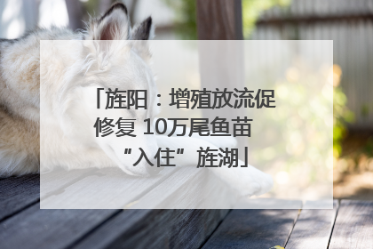 旌阳：增殖放流促修复 10万尾鱼苗“入住”旌湖