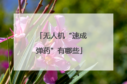 无人机“速成弹药”有哪些