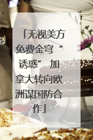 无视美方免费金穹“诱惑” 加拿大转向欧洲谋国防合作