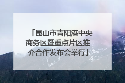 昆山市青阳港中央商务区暨重点片区推介合作发布会举行