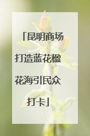 昆明商场打造蓝花楹花海引民众打卡
