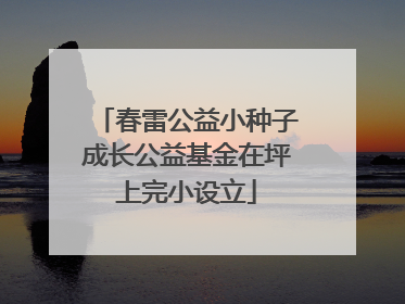 春雷公益小种子成长公益基金在坪上完小设立