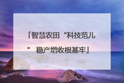 智慧农田“科技范儿” 稳产增收根基牢