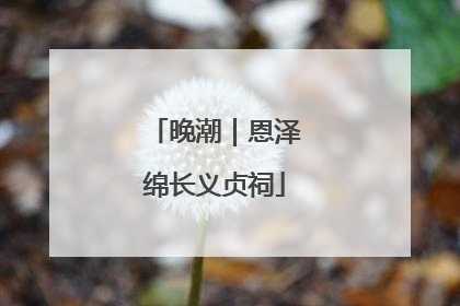 晚潮｜恩泽绵长义贞祠