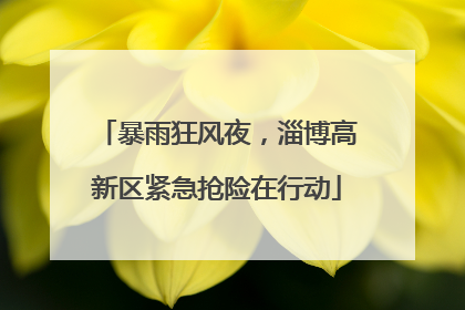暴雨狂风夜，淄博高新区紧急抢险在行动