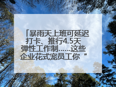 暴雨天上班可延迟打卡、推行4.5天弹性工作制……这些企业花式宠员工你“慕”了吗？