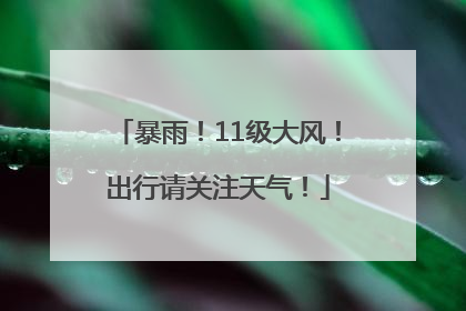 暴雨！11级大风！出行请关注天气！